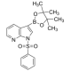 1-(fenilsulfonil)-7-azaindol-3-boro rūgšties pinakolio esteris, 95%,