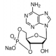 Adenozin 3,5-ciklinis monofosfato natrio dr.(cAMP-Na), 25mg >=98.0% (HPLC), milteliai,