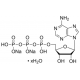 Adenozin 5-difosfato dinatrio druskos hidratas mikrobinis, BioReagentas, tinkamas ląstelių kultūrai, >=99% (HPLC) mikrobinis, BioReagentas, tinkamas ląstelių kultūrai, >=99% (HPLC)