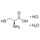 L-Cisteino hidrochlorido monohidratas, ne gyvūn. kilmės, atitinka EP, USP specifikac., 25g 
